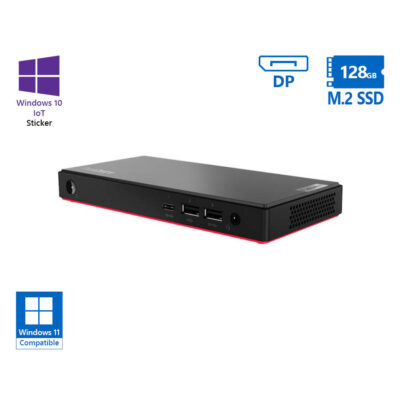 Lenovo ThinkCentre M75n Tiny AMD Athlon Silver 3050E/4GB DDR4/128GB M.2 SSD/No ODD/10IoT Grade A Ref